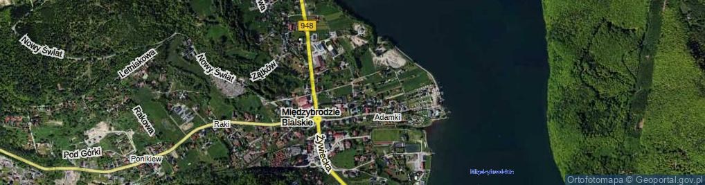 Zdjęcie satelitarne Astrów ul.